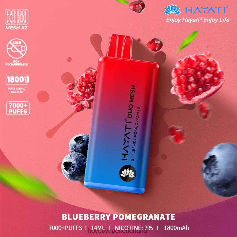 Hayati Duo Mesh wegwerpbaar bosbessen granaatappel XX66X186 Hayati Flavours
