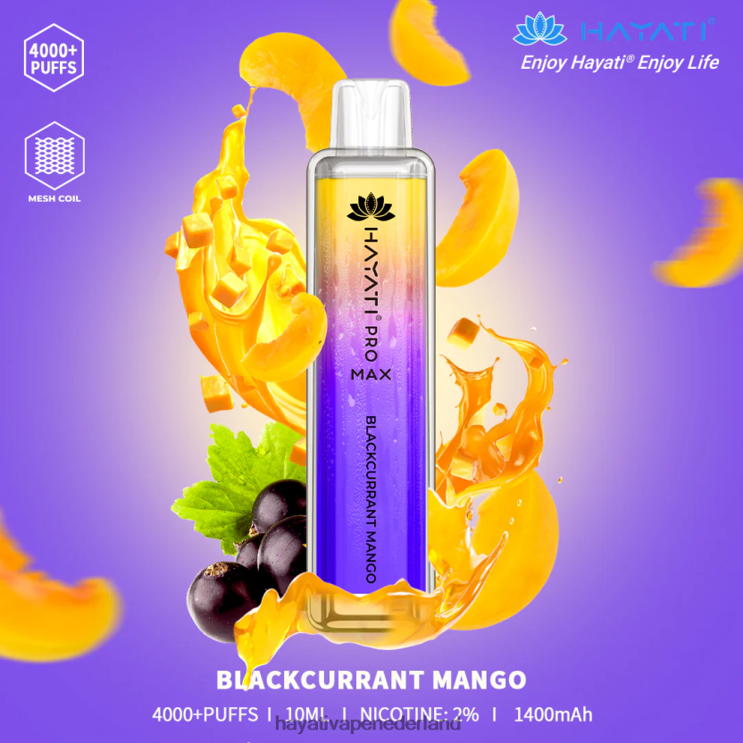 zwarte bessen-mango